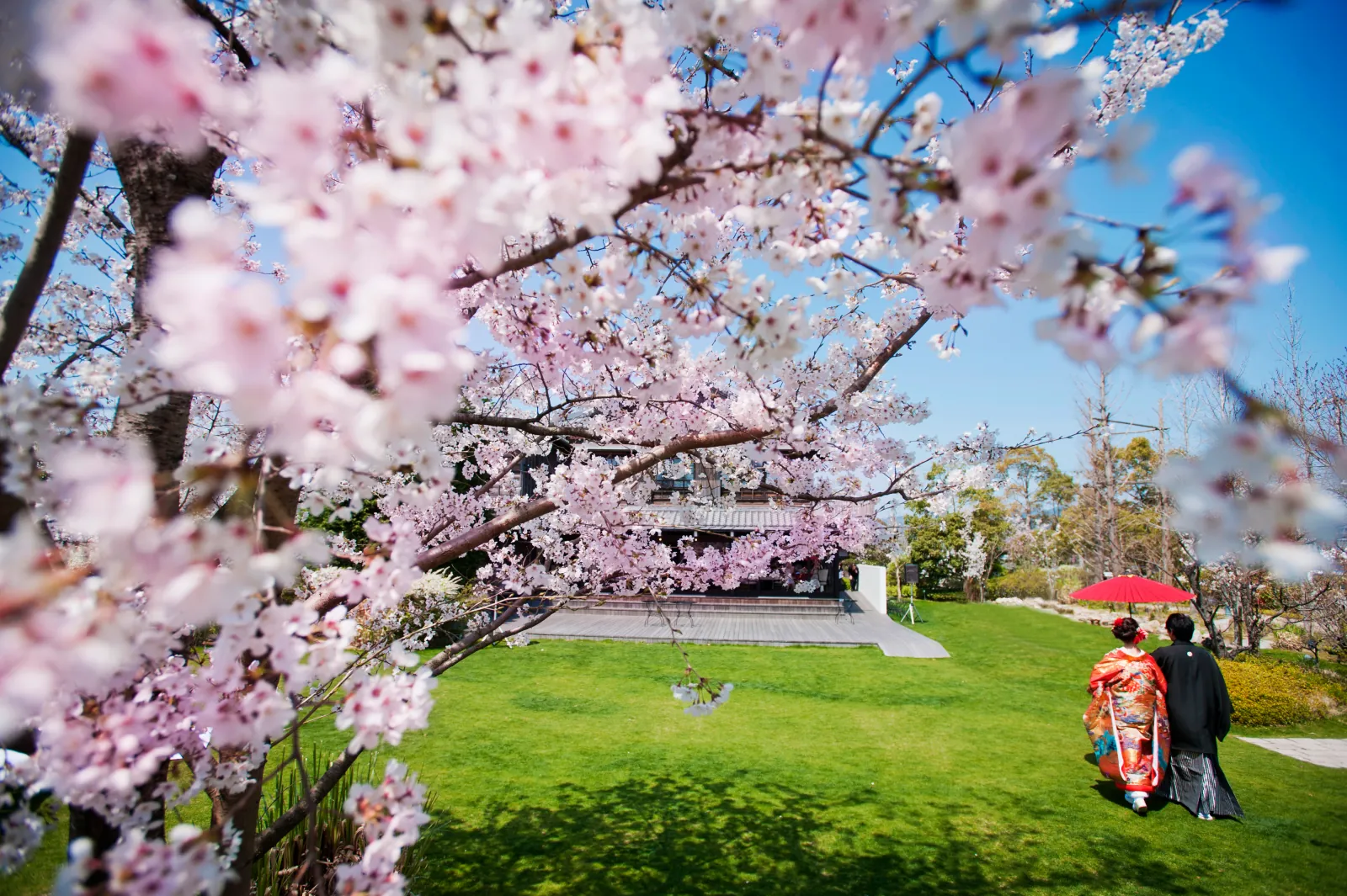 Spring