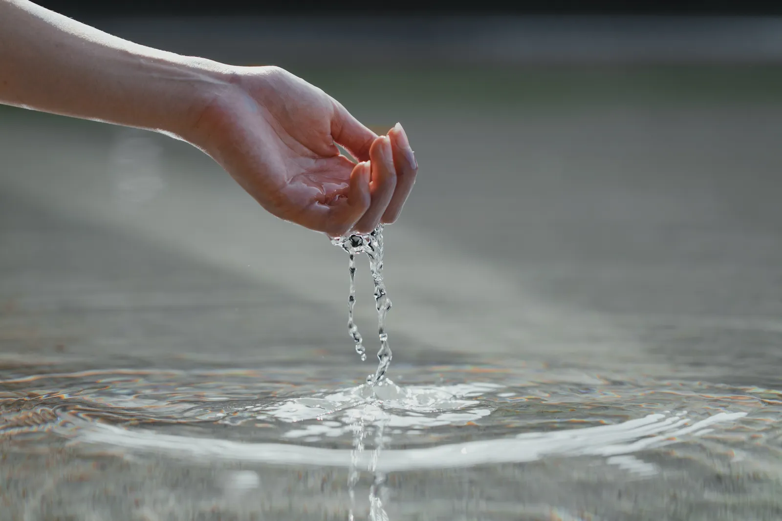 Serene water features